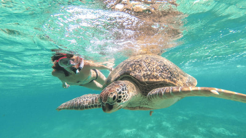 From Cancun: Tulum and Akumal Cenote and Turtle Swim Tour - Small details that make the day better