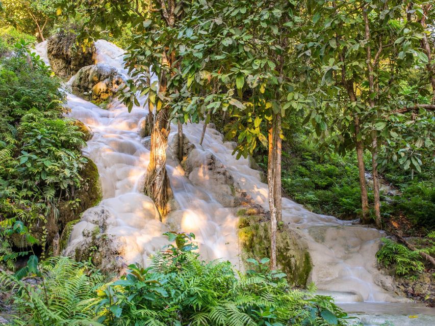 From Chiang Mai: Chiang Dao Cave Trekking Full-Day Tour - A market stop before lunch