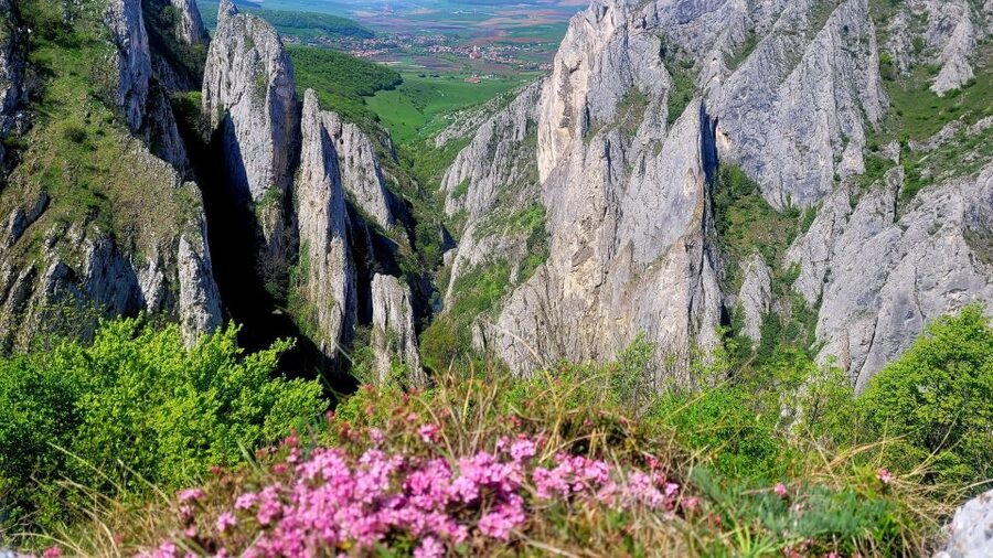 From Cluj: Turda Salt Mine, Gorge, and Remetea Full-Day Trip - Is $131 good value?
