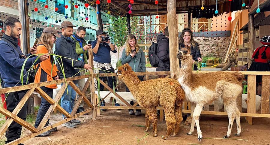From Cusco: Sacred Valley & Maras Salt Mines Tour with Lunch - Five Sacred Valley highlights packed into one day