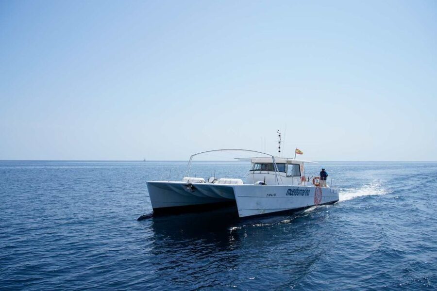 From Denia: Boat Trip to Tallada Cave with Optional Swim - Booking flexibility and practical limits