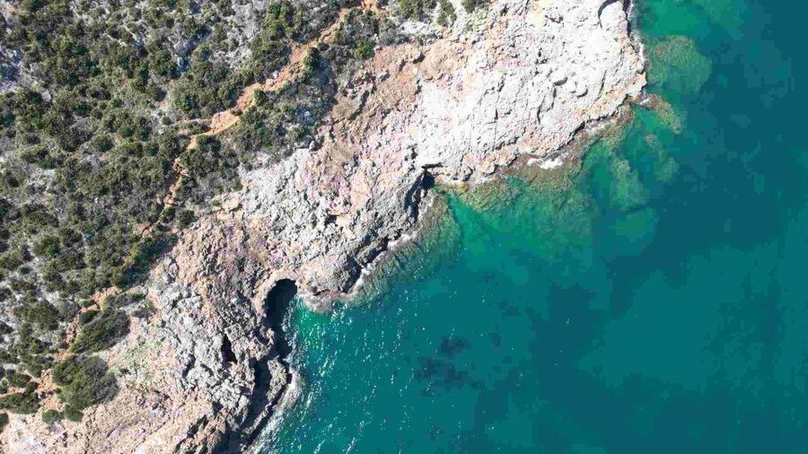 From Denia: Boat Trip to Tallada Cave with Optional Swim - Who will enjoy this trip most