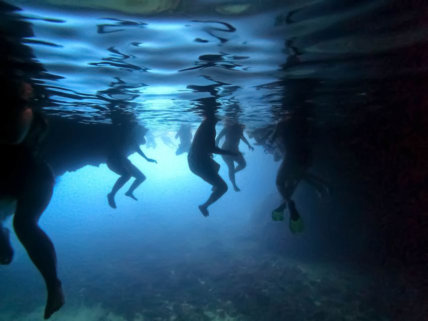 From Dubrovnik/Cavtat: Blue Cave, Sunj Beach Speed Boat Tour - Three Green Caves, three different swims
