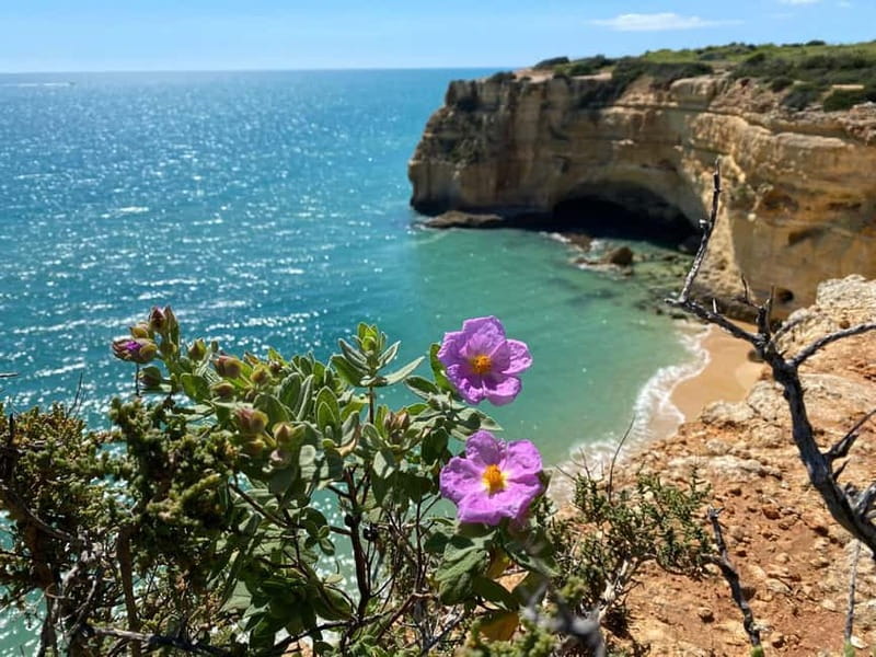 From Faro: Benagil Cave and Seven Hanging Valleys Trail Tour - From Faro Marina to the Algarve cliffs
