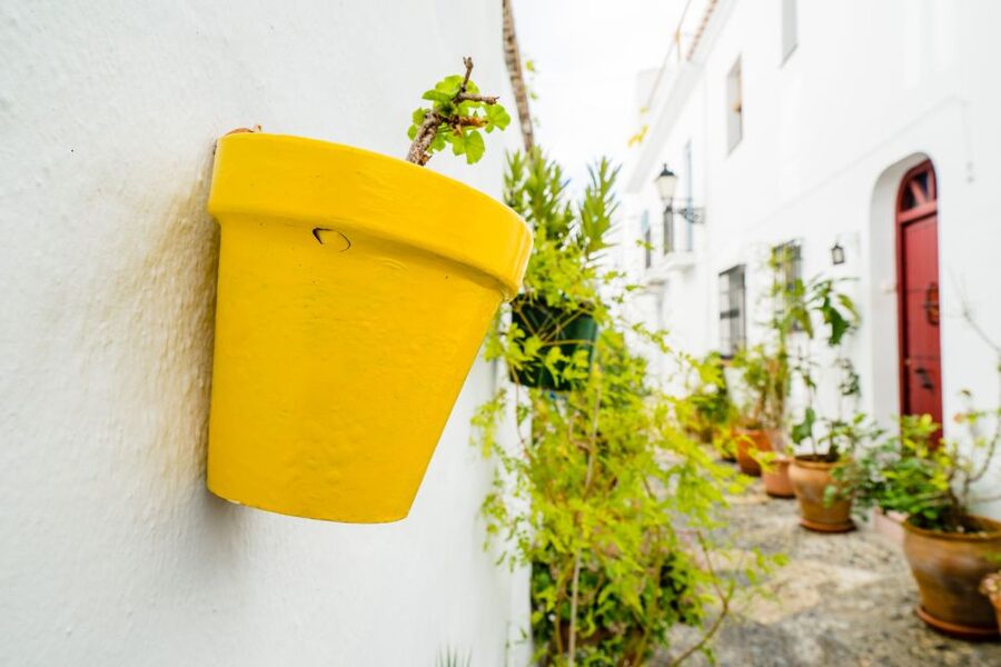 From Granada: Skip-the-Line Nerja Cave and Frigiliana - Is $159 a fair price?