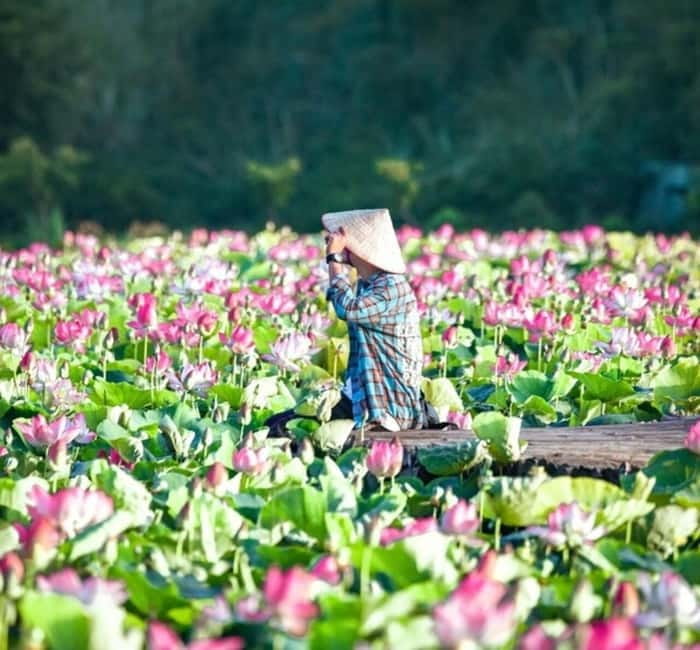 From Hanoi: Ninh Binh Bai Dinh or Hoa Lu, Trang An, Mua Cave - Should you book it?