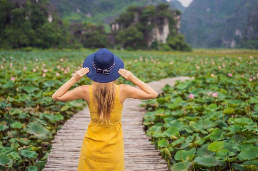 From Hanoi: Ninh Binh- Hoa Lu-Tam Coc- Mua Cave- Highlight - A Vietnamese Buffet With Goat as the Local Specialty