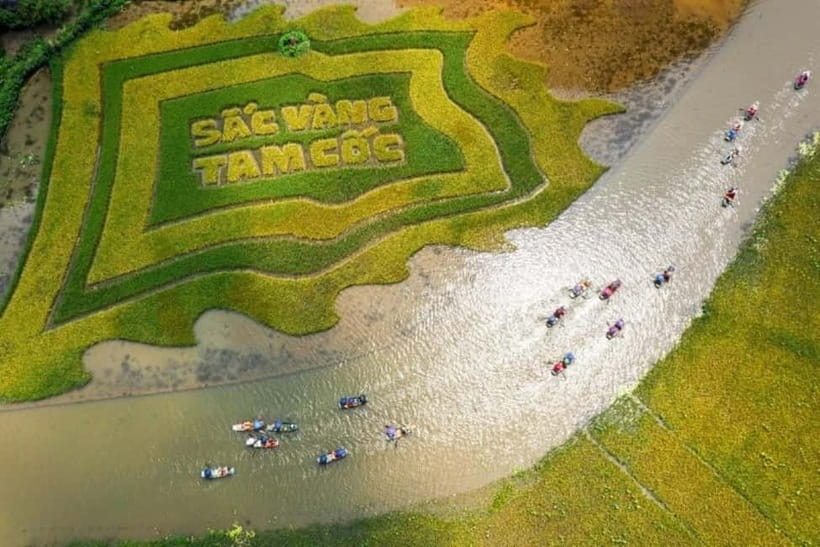 From Hanoi: Tam Coc Boat Trip and Hoa Lu & Mua Cave Tour - Mua Cave and the 500-step climb