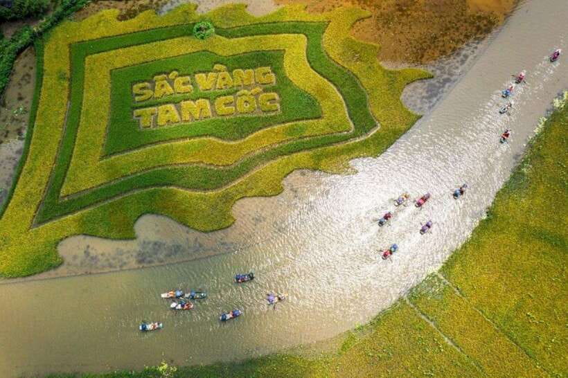 From Hanoi: Tam Coc Boat Trip and Hoa Lu & Mua Cave Tour - Hoa Lu and Vietnam’s early royal capital