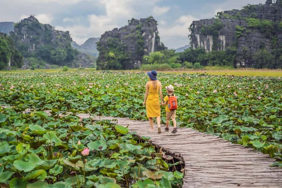 From Hanoi: Trang An Eco-tourism -Bai Dinh pagoda & Mua Cave - Trang An by boat through limestone country