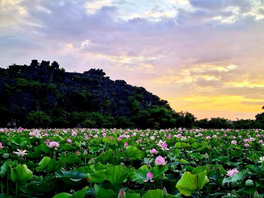 From Hanoi: Trang An eco-tourism - Hoa Lu ancient & Mua Cave - Who will enjoy this tour most