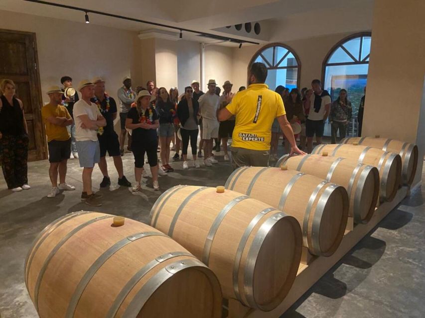 From Heraklion: Matala Beach - Caves & winery Full Day tour - What to pack and what to budget