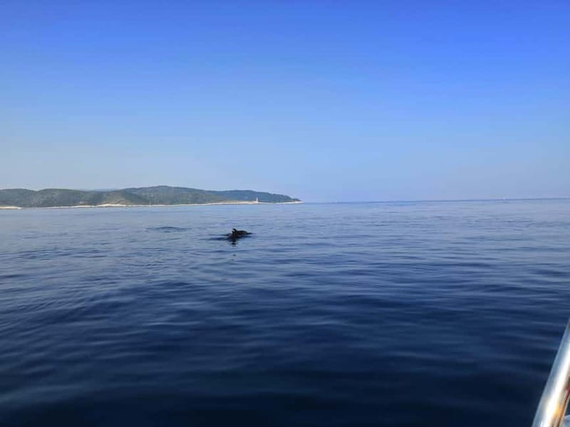From Hvar: Unforgetable Tour to the Island Vis and Blue Cave - The speedboat makes the route possible