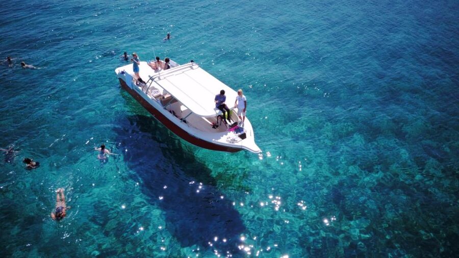 From Hvar: Vis Island and Blue Cave Speedboat Tour - Key points to know before you book
