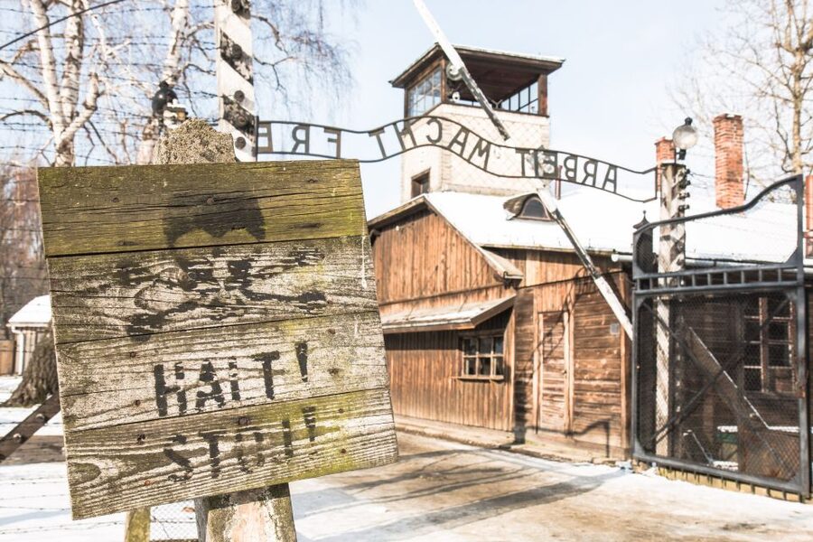 From Krakow: Auschwitz and Wieliczka Salt Mine Full-Day Trip - Two major sights, one demanding day