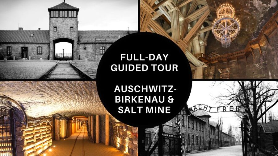 From Krakow: Auschwitz Birkenau and Salt Mine Guided Tour - One Krakow day, two very different places