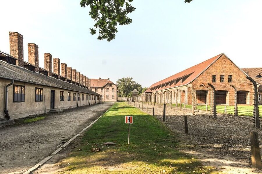 From Krakow: Auschwitz Birkenau and Salt Mine Guided Tour - Starting from Krakow: pickup or Wielopole Street