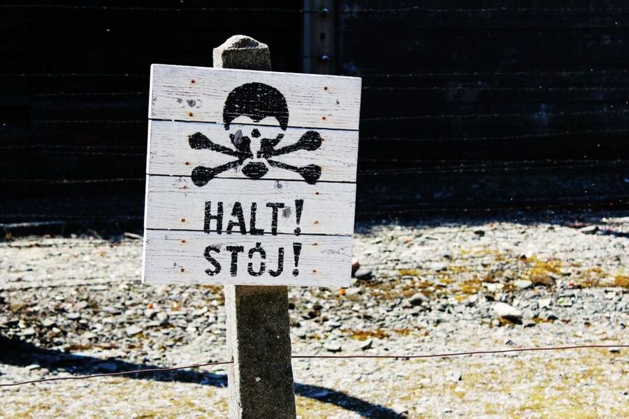 From Krakow: Auschwitz Birkenau and Salt Mine Guided Tour - What the $120 price really covers