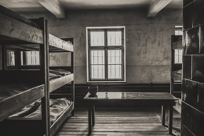 From Krakow: Auschwitz-Birkenau and Salt Mine with Private Transfer - What private transport really adds
