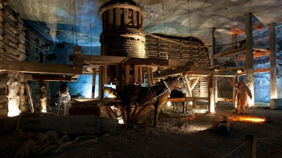 From Krakow: Wieliczka Salt Mine Guided Tour & Transfer - Who will enjoy this tour most