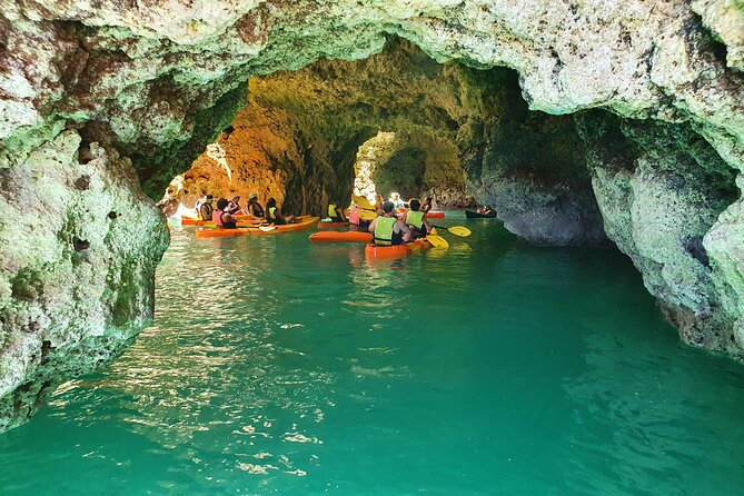 From Lagos: Kayak Tour of Ponta da Piedade Caves on Catamaran - Families, solo visitors, and first-time kayakers