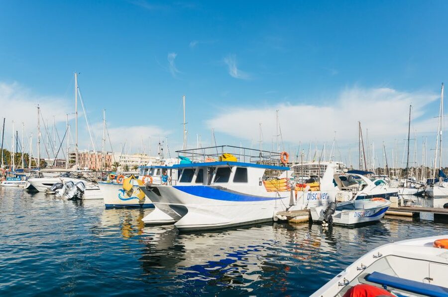From Lagos: Kayaking and Boat Cave Explorer Tour - Should you book the kayak and boat cave tour?