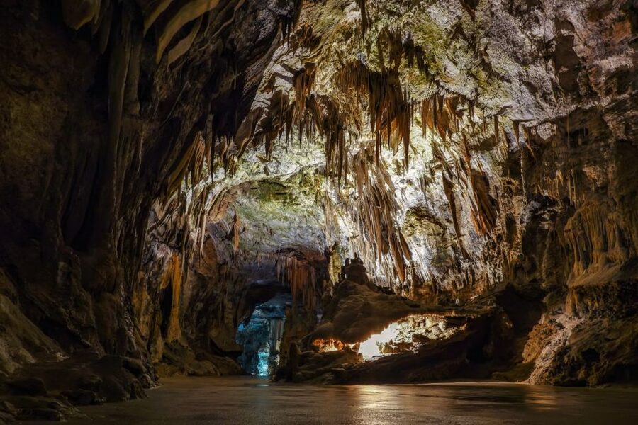 From Ljubljana: Lake Bled & Postojna Cave with Entry Tickets - Postojna Cave: a train ride into Slovenia’s underworld