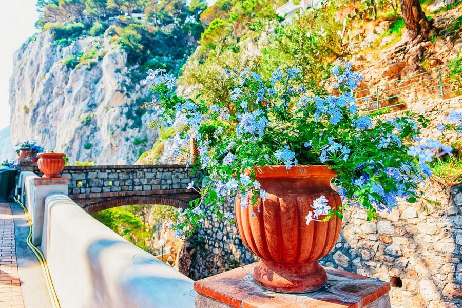 From Naples: Capri and Blue Grotto Day Tour - Why this Capri day trip works from Naples