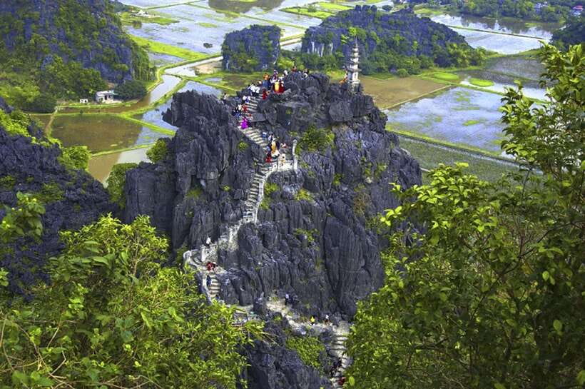 From Ninh Binh: Hoa Lu, Bai Dinh, Trang An, & Mua Cave Tour - Mua Cave and the 500 steps to Dragon Mountain