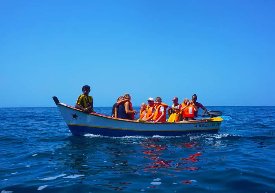 From Praia: Boat Trip, Snorkeling, Cave & BBQ on the Beach - Swimming into Águas Belas cave