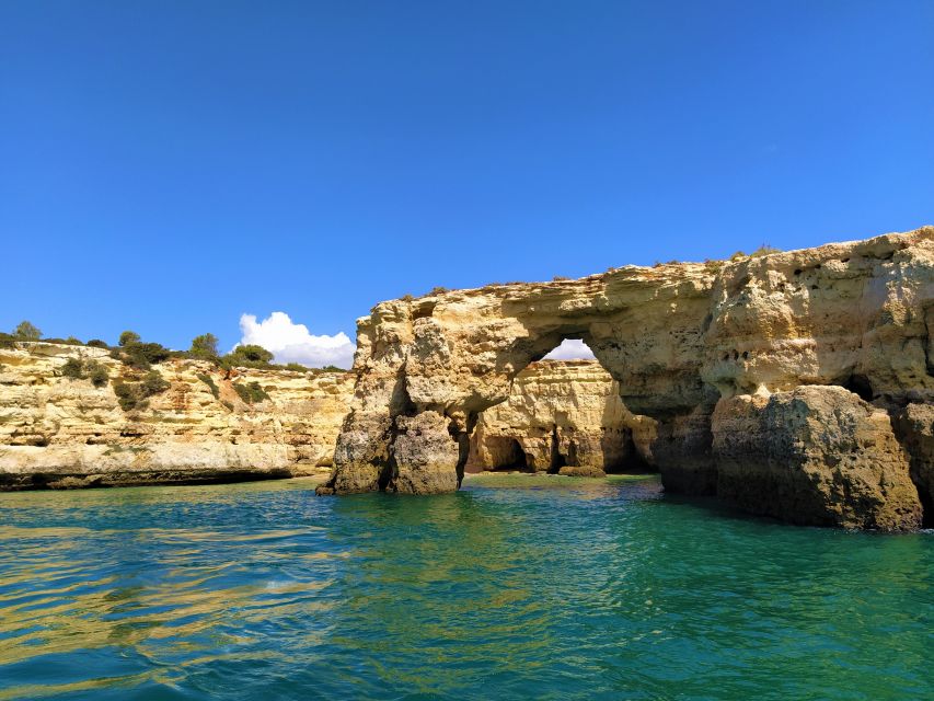 From Vilamoura: 2.5-Hour Benagil Cave and Dolphins Boat Tour - Searching for wild dolphins offshore