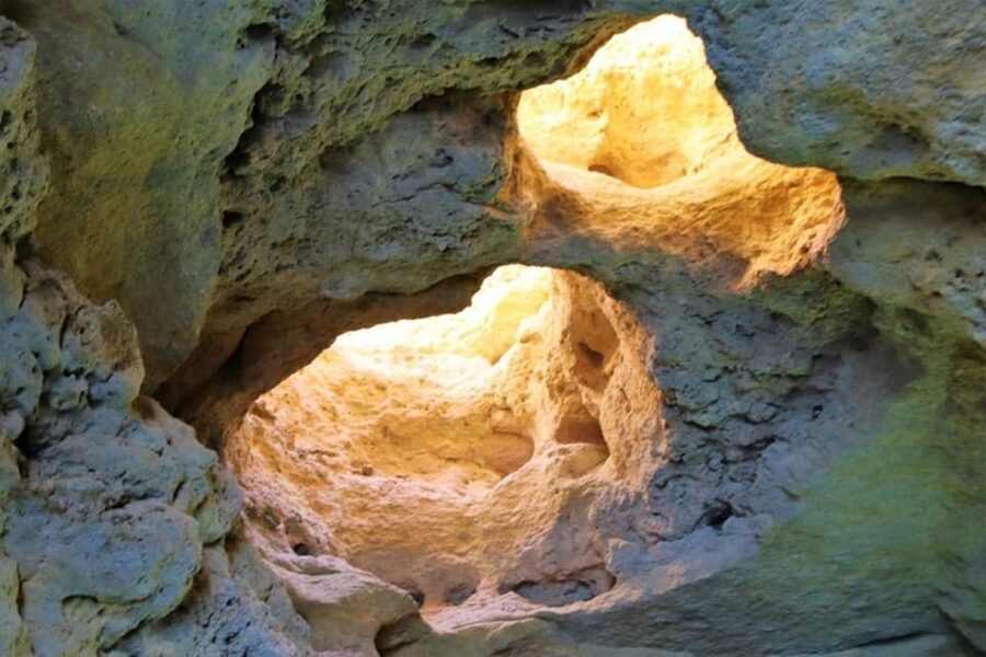 From Vilamoura: 2.5-Hour Benagil Cave and Dolphins Boat Tour - Who should book this speedboat tour?