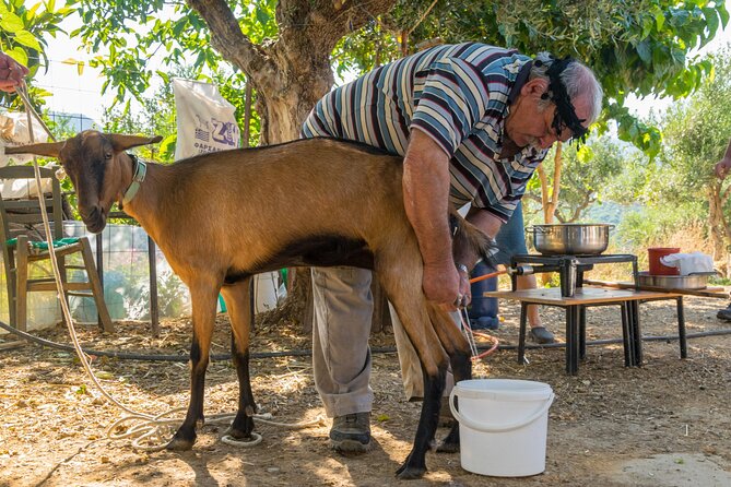Full-Day Small-Group Tour in Crete with Zeus Cave Visit - Windmills at the entrance to the Lasithi Plateau