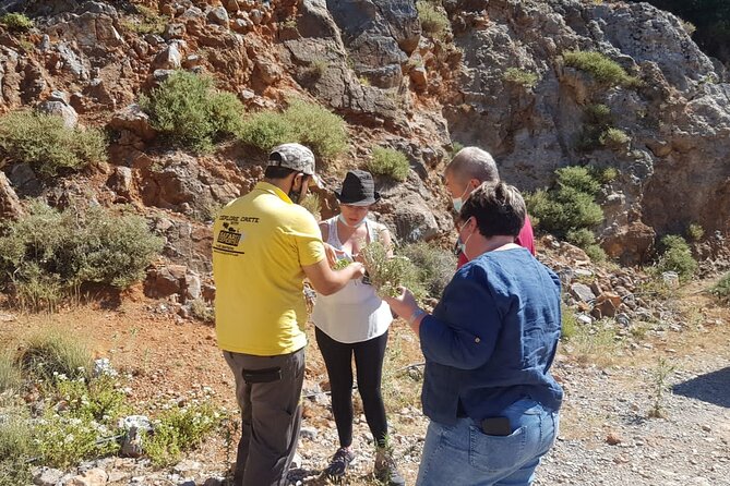 Full-Day Small-Group Tour in Crete with Zeus Cave Visit - The Cave of Zeus: check its status before you go