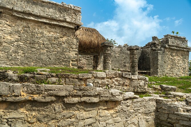 Full Day Tulum Ruins Tour Cenote and Swimming with Sea Turtles - Akumal Beach: a real wildlife encounter with limits