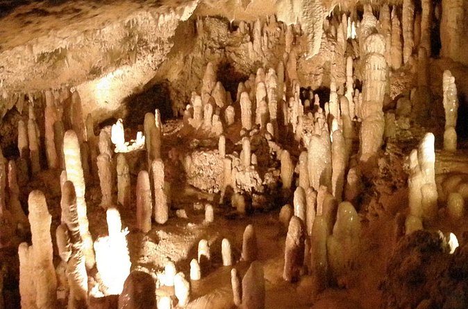Half-Day Barbados Tour Harrisons Cave Hunte's Garden and Bathsheba - What the schedule leaves out