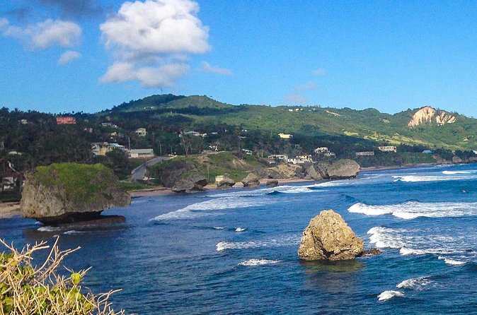 Half-Day Barbados Tour Harrisons Cave Hunte's Garden and Bathsheba - Who will get the most from this tour