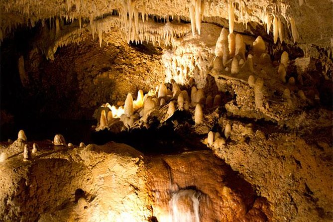 Half-Day Barbados Tour Harrisons Cave Hunte's Garden and Bathsheba - Harrison’s Cave: Barbados beneath the surface