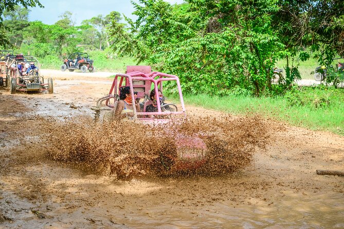 Half-Day Buggy Tour to Water Cave and Macao Beach - Who should book this Punta Cana excursion?