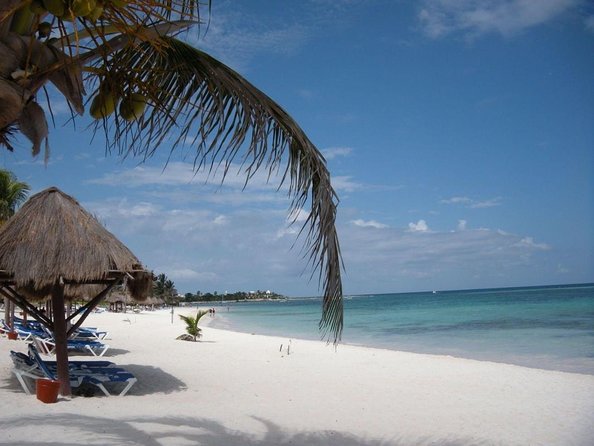 Half-Day Sea Turtle and Cenote Snorkeling Tour from Cancun & Riviera Maya - Two Yucatan water worlds in one morning