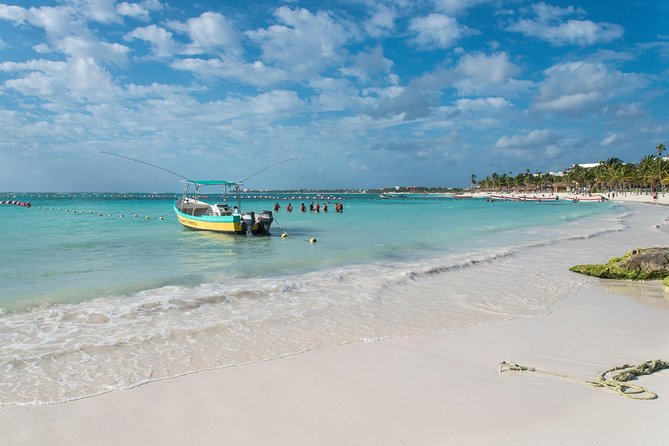 Half-Day Sea Turtle and Cenote Snorkeling Tour from Cancun & Riviera Maya - A regulated wildlife experience, not a private reef