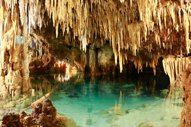 Half-Day Sea Turtle and Cenote Snorkeling Tour from Cancun & Riviera Maya - Transport, group size, and the early alarm