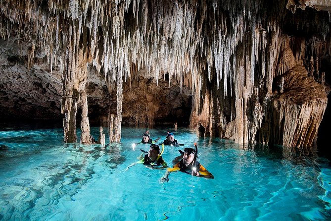 Half-Day Sea Turtle and Cenote Snorkeling Tour from Cancun & Riviera Maya - Should you book the Akumal and Yax-Muul combination?