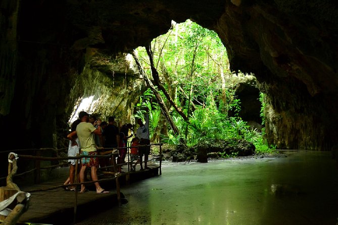 Half-Day Sea Turtle and Cenote Snorkeling Tour from Cancun & Riviera Maya - Yax-Muul cenote: caves, clear water, and quiet moments