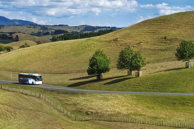 Hobbiton & Waitomo Caves Guided Tour from Auckland with Lunch - Who should take this tour?