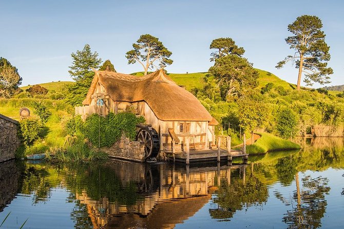 Hobbiton & Waitomo Caves Small-Group Tour W Lunch from Auckland - How the guides shape the experience