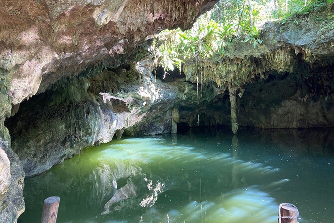 Jade Caverns Private Jeep Tour with Lunch and Snorkeling - What this Cozumel Jeep tour is really like