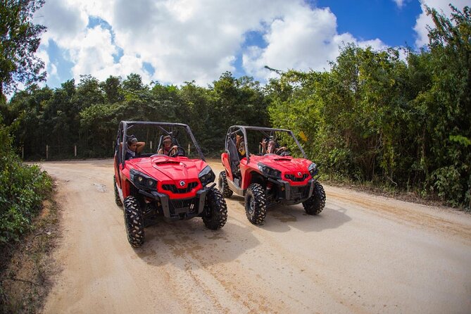 Jungle Buggy Tour from Playa del Carmen Including Cenote Swim - Why the 40-kilometer jungle route matters