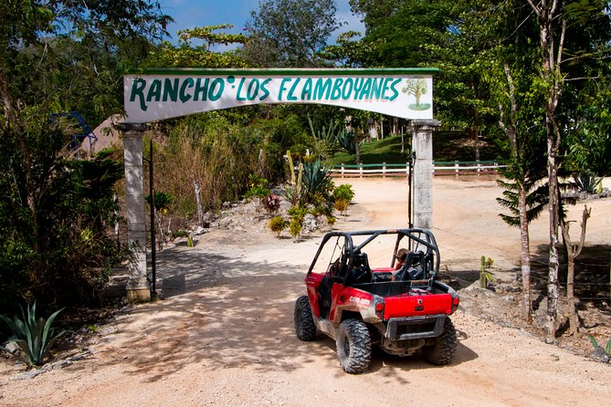 Jungle Buggy Tour from Playa del Carmen Including Cenote Swim - Is the $110.29 price good value?
