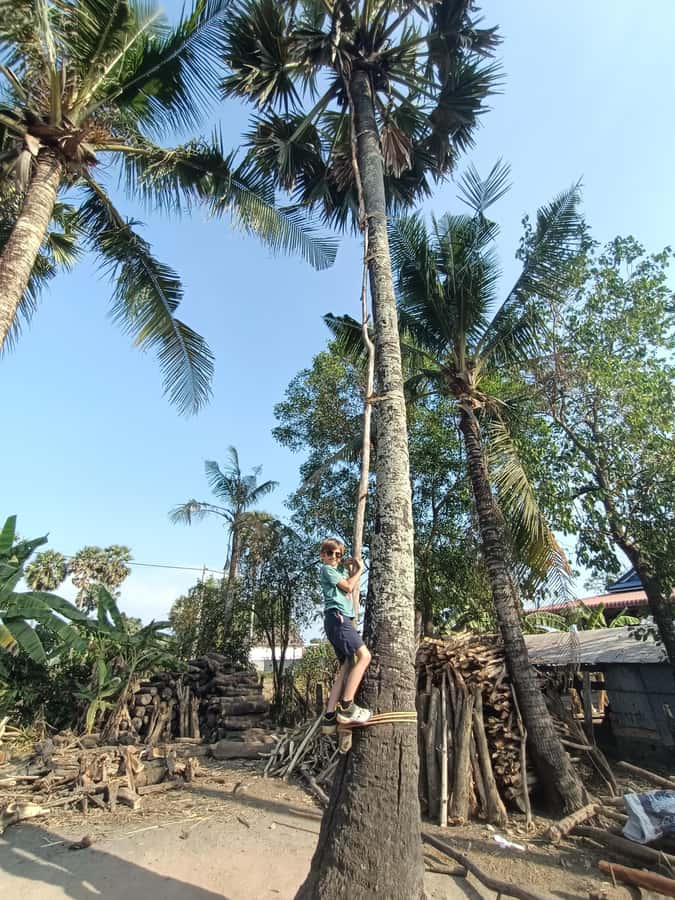 Kampot Countryside include Pepper farm, Salt field & Lake - Morning or afternoon: choosing the right departure